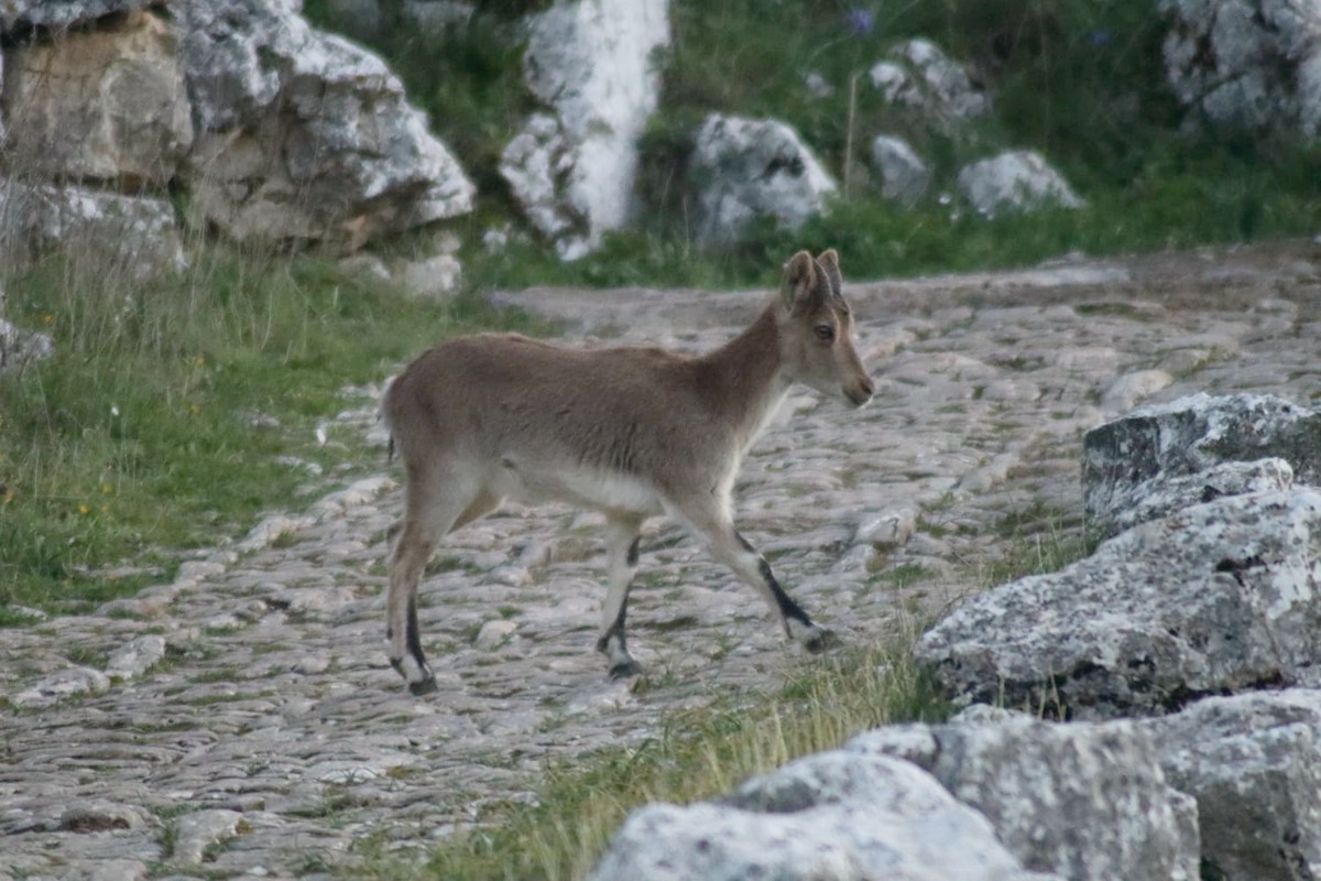 e2e876f8-ccbc-46b7-866f-0d6883d360ac